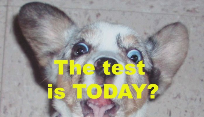 test-today